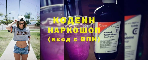 ПСИЛОЦИБИНОВЫЕ ГРИБЫ Богданович